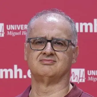 Juan Javier Ortiz Carricondo